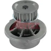 AIRTEX Wasserpumpe 1446