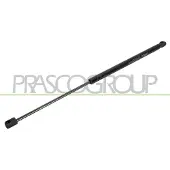 PRASCO Gasfeder, Koffer-/Laderaum VG0239055