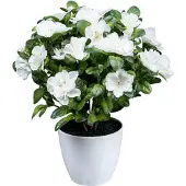 Creativ Green Kunstblume "Azaleenbusch"