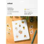 Cricut Gold A4 (210 x 297 mm) 10 Blatt Hängeverpackung