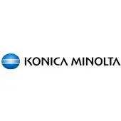 Minolta DV-313K - Schwarz - original - Entwickler-Kit - für bizhub C308, C368 (A7U403D)