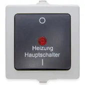 Heinrich Kopp Nautic Aufputz-Feuchtraum Heizungshauptschalter 2-polig beleuchtet mit Linse