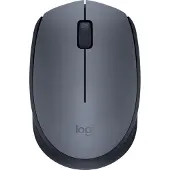 Logitech M171, Beidhändig, Optisch, RF Wireless, 1000 DPI, Schwarz, Grau