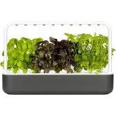 Click & Grow Click and Grow - Smart Garden 9 Starter kit (Color: Dark Gray) (SG9S8UNI)