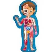 Hape Human Body, 60 Stück(e), Wissenschaft, 4 Jahr(e)