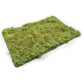 Mig Wilderness Fields with Bushes Spring 230x130mm