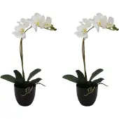 Creativ Green Kunstorchidee "Orchidee Phalaenopsis" mit täuschend echten Blüten