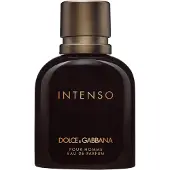 Dolce&Gabbana Intenso Pour Homme Eau de Parfum 125 ml Heren