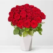 Pflanzen-Kölle 50 rote Rosen 'Red Naomi'