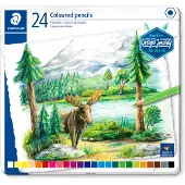 Staedtler - Colored pencil, 24 pcs (146C M24)