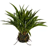 Creativ Green Kunstgras "Grasbusch Miscanthus im Moosballen"