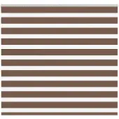 vidaXL Doppelrollo Braun 160x150 cm Stoffbreite 155,9 cm Polyester