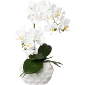Creativ Green Kunstorchidee "Deko-Orchidee Phalaenopsis im Keramiktopf"