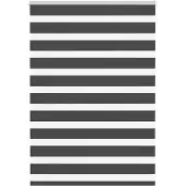 vidaXL Doppelrollo Schwarz 95x100 cm Stoffbreite 90,9 cm Polyester