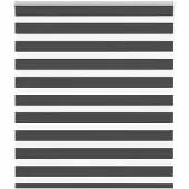 vidaXL Doppelrollo Schwarz 125x100 cm Stoffbreite 120,9 cm Polyester