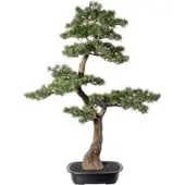 Pflanzen-Kölle Künstlicher Zeder Bonsai, Höhe ca. 100 cm