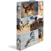 Herma Ringbuch A4 Motiv