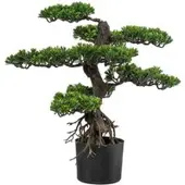 Pflanzen-Kölle Kunstpflanze Bonsai, Höhe ca. 75 cm