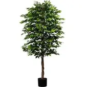Pflanzen-Kölle Künstliche Birkenfeige 'Ficus benjamini', Höhe ca. 210 cm