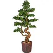 Pflanzen-Kölle Kunstpflanze Bonsai Lärche, Höhe ca. 125 cm