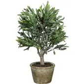 Pflanzen-Kölle Künstliches Olivenbäumchen, Höhe ca. 36 cm