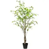 Pflanzen-Kölle Kunstpflanze Louisiana-Baum, Höhe ca. 240 cm