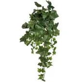 Pflanzen-Kölle Kunstpflanze Englischer Efeuhänger, 3er-Set, Höhe ca. 45 cm
