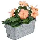 B2X Blumenkasten aus Metall