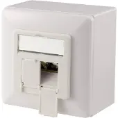 Digitus CAT 6A, Klasse EA, Datendose, designkompatibel, Aufputz, 2 x RJ-45, 1 Modul(e), 6a, 500 MΩ, Weiß, ABS Synthetik