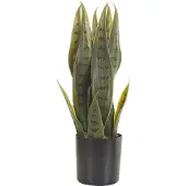 Beliani Snake Plant