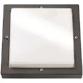 SG 623187 Bassi LED 10W graphit/opal