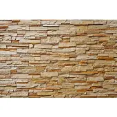 Papermoon Vlies- Fototapete Digitaldruck 350 x 260 cm Stone Wall GLO769559100