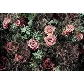 Overig Fototapete "Velvet - Größe 368 x 254 cm" bedruckt glatt Wohnzimmer, Schlafzimmer