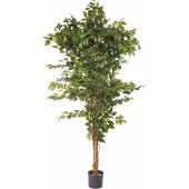 Otto Home Kunstpflanze "Ficus Benjamini", grün, B:23cm H:150cm, Kunststoff, Polyester, Kunstpflanzen, Kunstpflanze