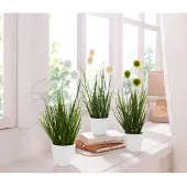 Otto Home Kunstgras "Grasbusch, naturgetreue Kunstpflanze, 35cm hoch" im 3 teiligen Set, mit Übertopf wahlweise in schwarz oder weiß