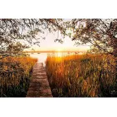 Komar Vliestapete "Digitaldruck Vlies - Lakeside - Größe 400 x 260 cm" bedruckt glatt Wohnzimmer, Schlafzimmer