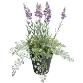 Botanic-Haus Künstliche Zimmerpflanze "Lavendel - Kräutertopf", lila, B:30cm H:37cm T:30cm Ø:30cm, Kunststoff, Kunstpflanzen, Künstliche Zimmerpflanze