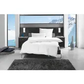 F.A.N. Gänsefederkopfkissen "f.a.n. Alaska", weiß, B:80cm L:80cm, Bezug: 100% Baumwolle. Füllung: 70% Gänsefeder, 30% Gänsedaunen, Kopfkissen, Gänsefederkopfkissen