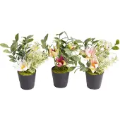 Botanic-Haus Künstliche Zimmerpflanze "Christrosen-Arrangement im schwarzen Kunststofftopf", orange, B:13cm H:18cm T:13cm Ø:13cm, Kunststoff, Kunstpflanzen, Künstliche Zimmerpflanze