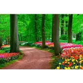Papermoon Fototapete "Tulips Spring Landscape", bunt, B:3m L:2,23m, Vlies, Tapeten, Fototapete