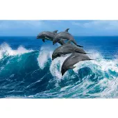 Papermoon Fototapete "Playful Dolphins", bunt, B:3m L:2,23m, Vlies, Tapeten, Fototapete