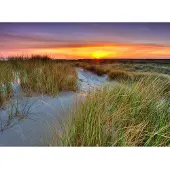 Papermoon Fototapete "Dunes Sunset", bunt, B:2m L:1,49m, Vlies, Tapeten, Fototapete