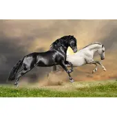 Papermoon Fototapete "Black and White Horses", bunt, B:5m L:2,8m, Vlies, Tapeten, Fototapete