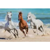 Papermoon Fototapete "Horse Herd Run Gallop", bunt, B:2m L:1,49m, Vlies, Tapeten, Fototapete