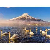 Papermoon Fototapete "Mount Fuji", bunt, B:3m L:2,23m, Vlies, Tapeten, Fototapete