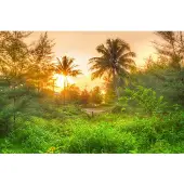 Papermoon Fototapete "Amazing Jungle Sunrise", bunt, B:3m L:2,23m, Vlies, Tapeten, Fototapete