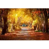 Papermoon Fototapete "Alley in the Autumn Park", bunt, B:4m L:2,6m, Vlies, Tapeten, Fototapete