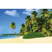 Papermoon Fototapete "Exotic Palm Beach", bunt, B:3m L:2,23m, Vlies, Tapeten, Fototapete