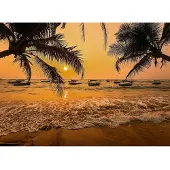 Papermoon Fototapete "Sri Lanka Palm Beach", bunt, B:3,5m L:2,6m, Vlies, Tapeten, Fototapete