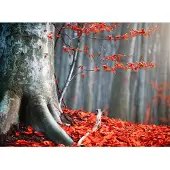 Papermoon Fototapete "Old Autumn Tree", bunt, B:3,5m L:2,6m, Vlies, Tapeten, Fototapete